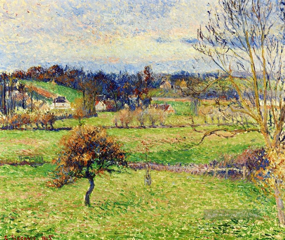 Feld bei eragny 1885 Camille Pissarro Szenerie Ölgemälde